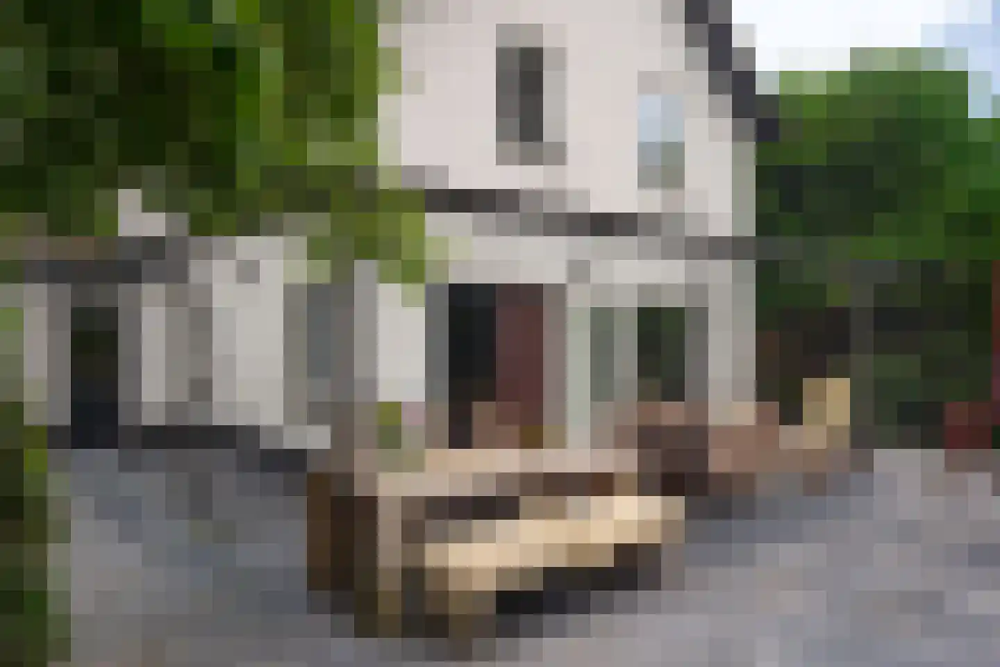 Gerwenseweg 42 Helmond thumbnail 45
