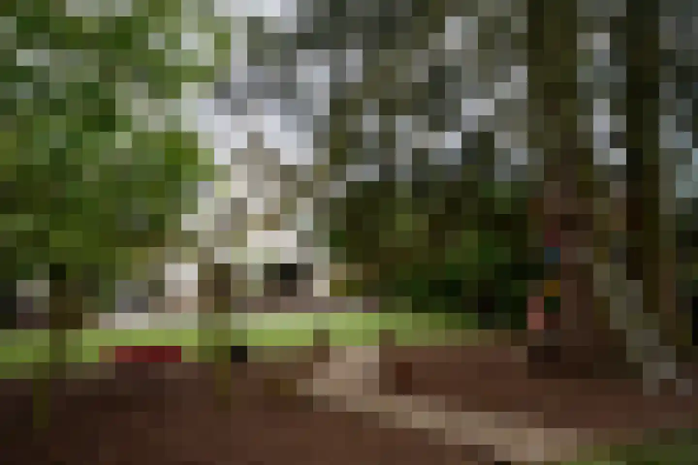 Gerwenseweg 42 Helmond thumbnail 47