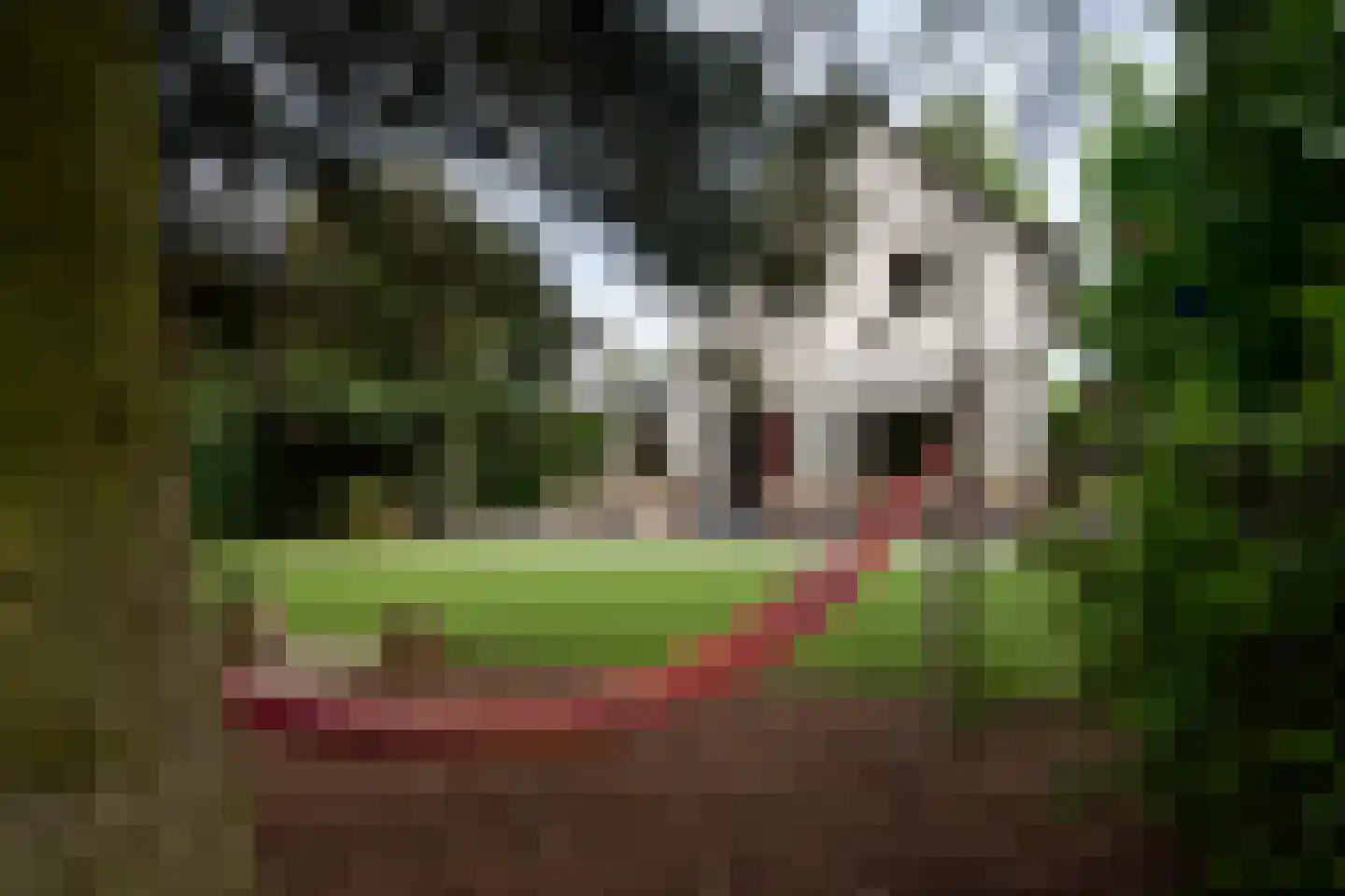 Gerwenseweg 42 Helmond thumbnail 48