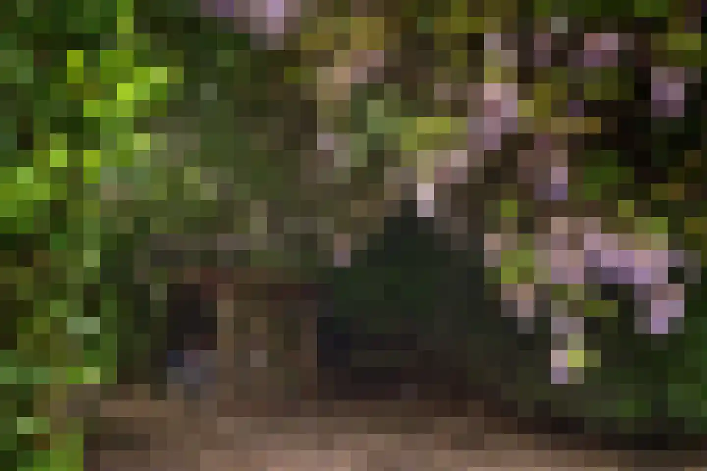 Gerwenseweg 42 Helmond thumbnail 51