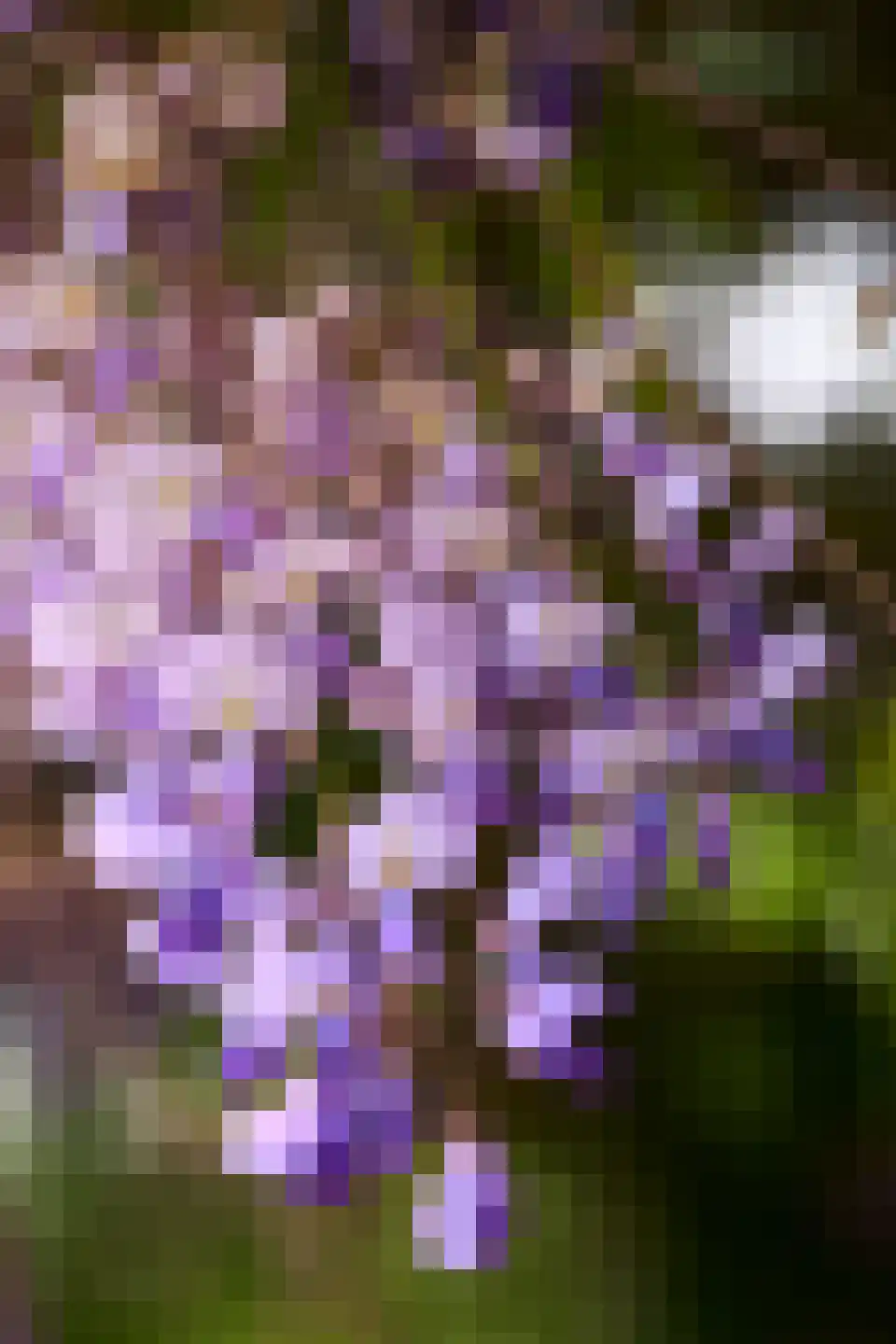 Gerwenseweg 42 Helmond thumbnail 52