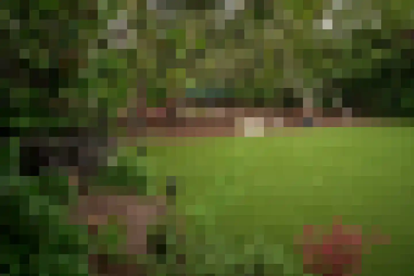 Gerwenseweg 42 Helmond thumbnail 53