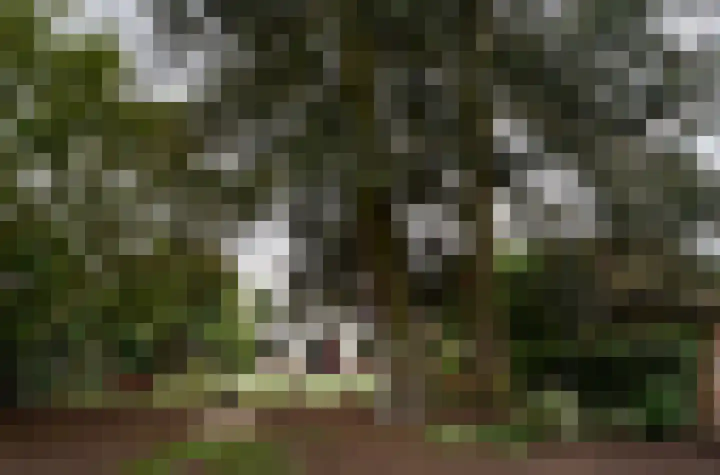 Gerwenseweg 42 Helmond thumbnail 54