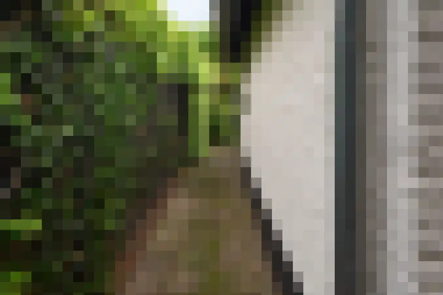 Gerwenseweg 42 Helmond thumbnail 60
