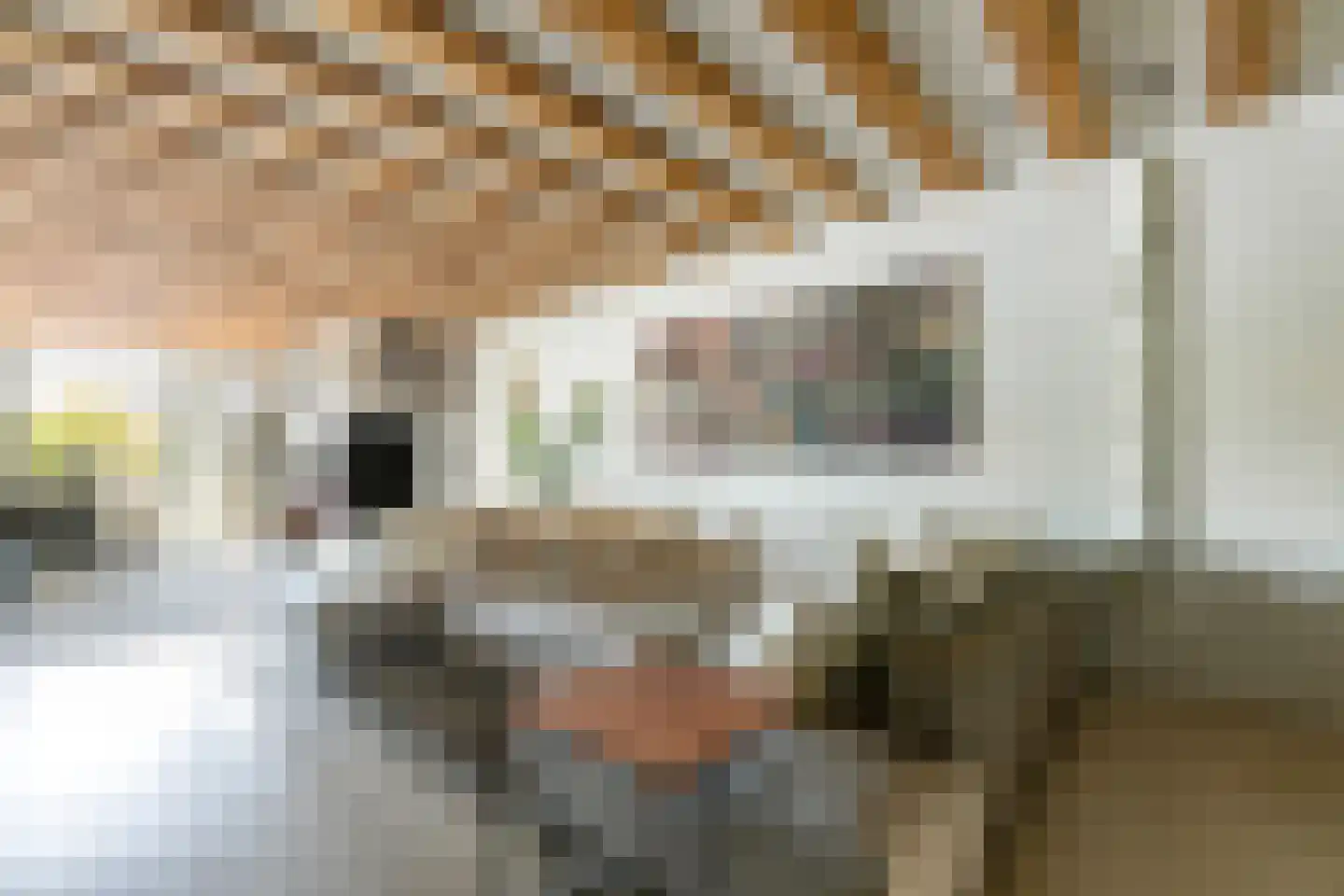 Geschutswerf 33 Amsterdam thumbnail 4
