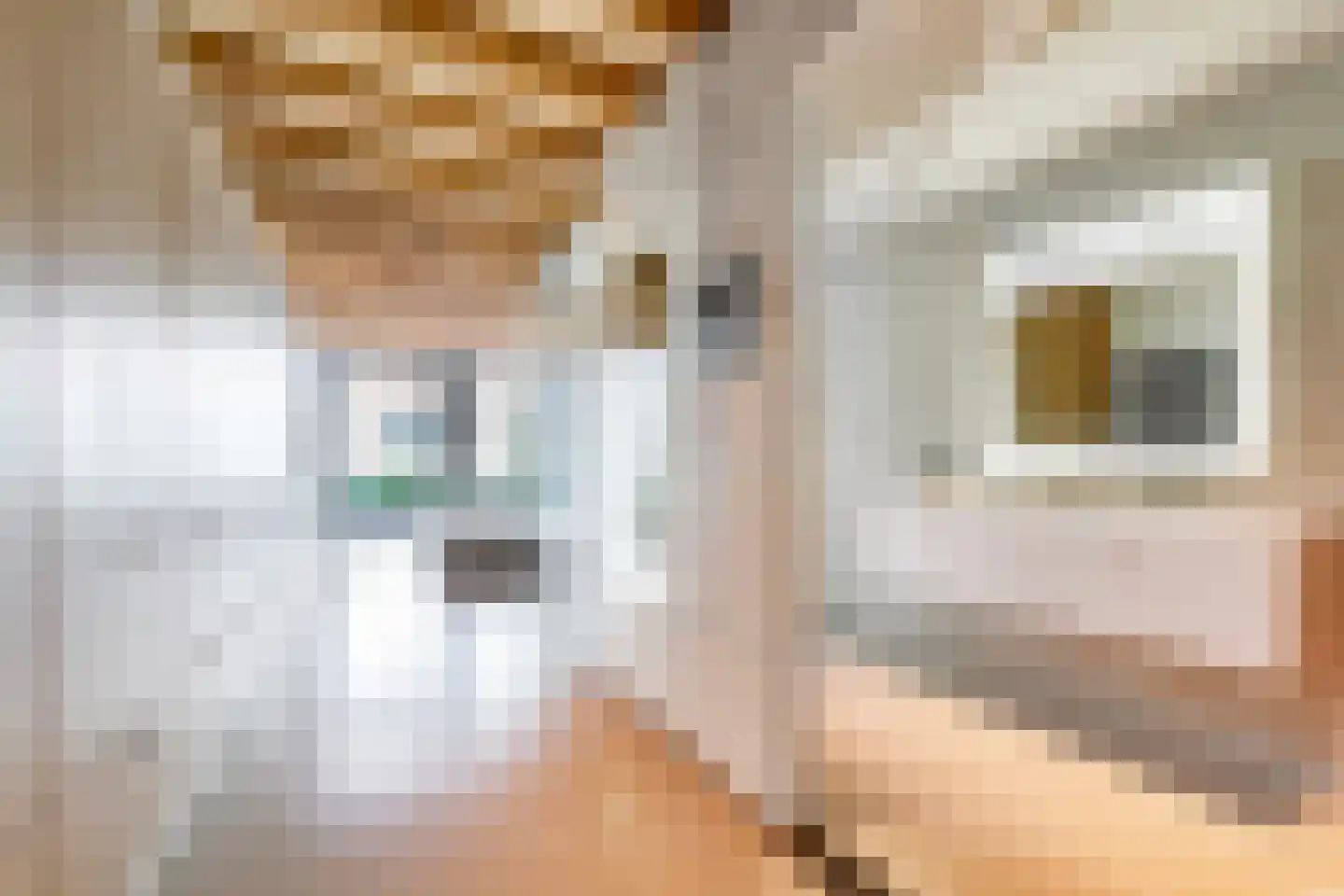 Geschutswerf 33 Amsterdam thumbnail 5