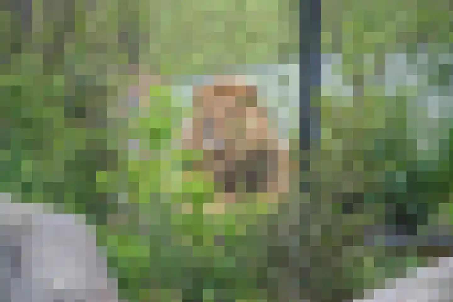 Geschutswerf 33 Amsterdam thumbnail 67