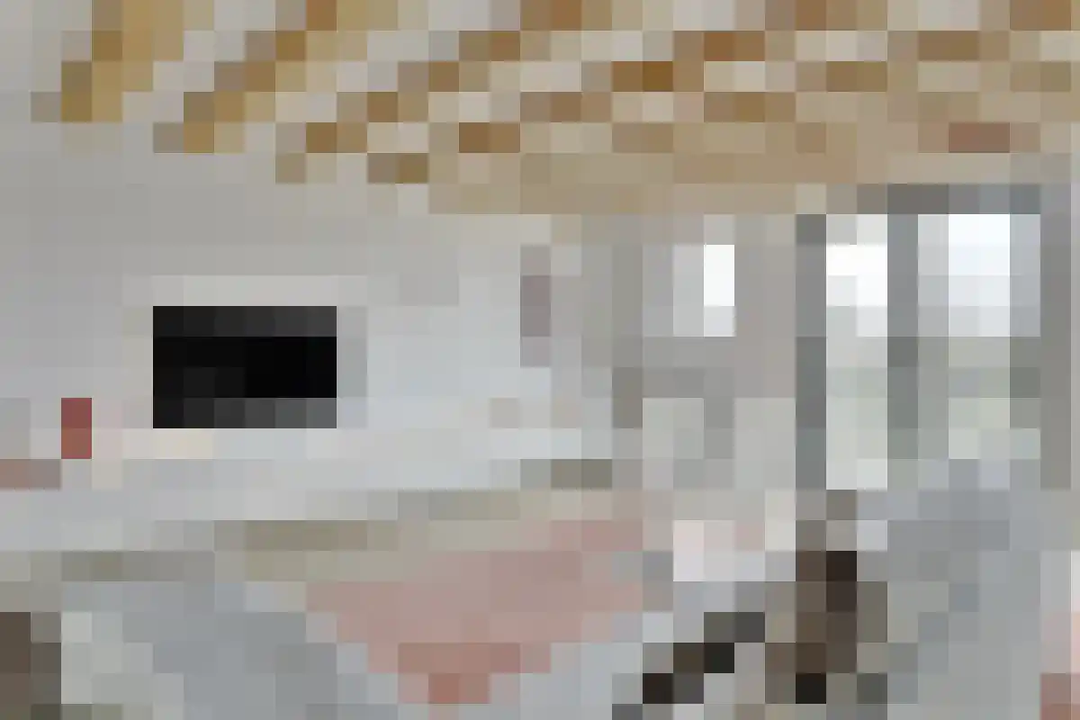 Geschutswerf 61 Amsterdam thumbnail 4