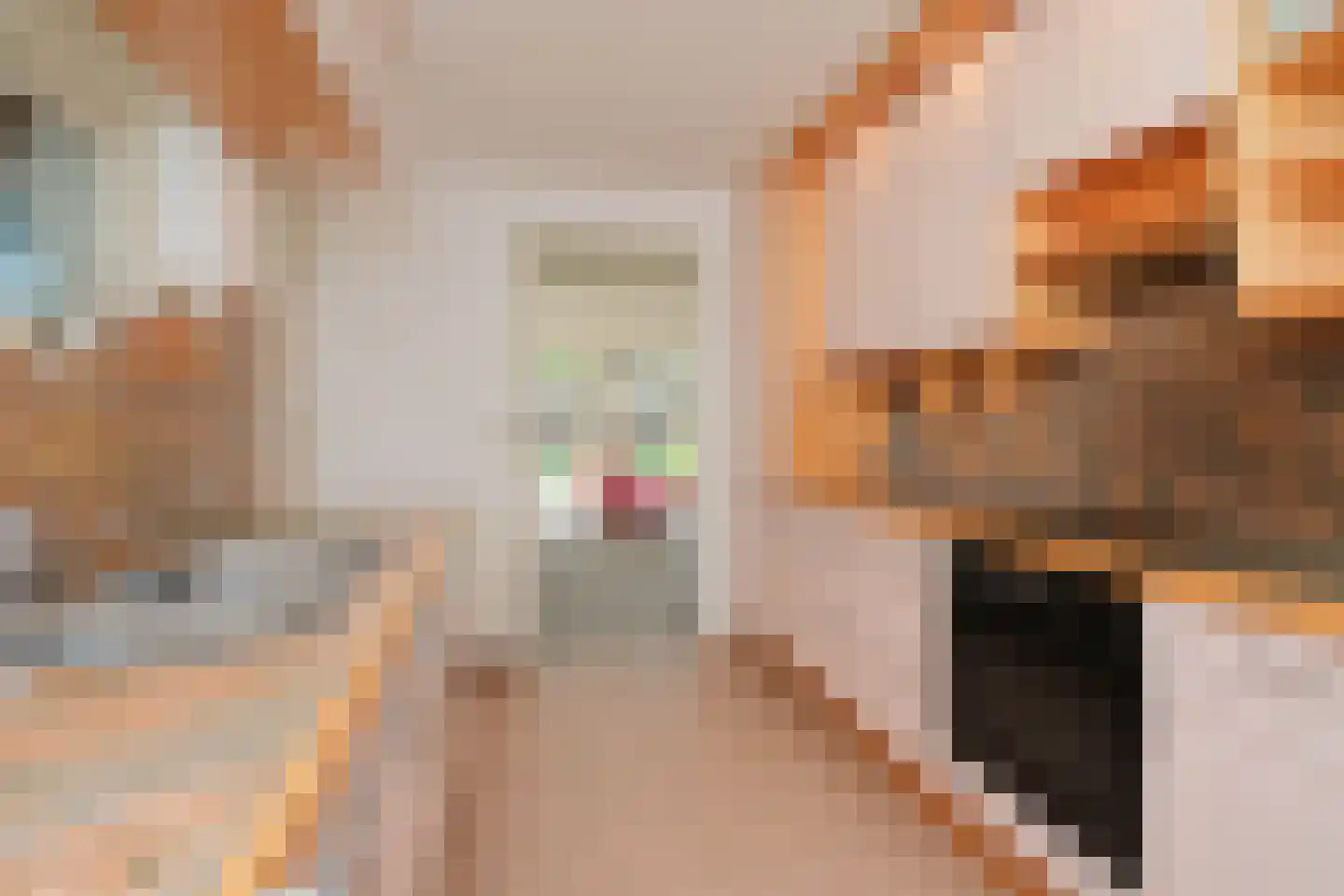 Gesincklaer 5 Den Ham thumbnail 11