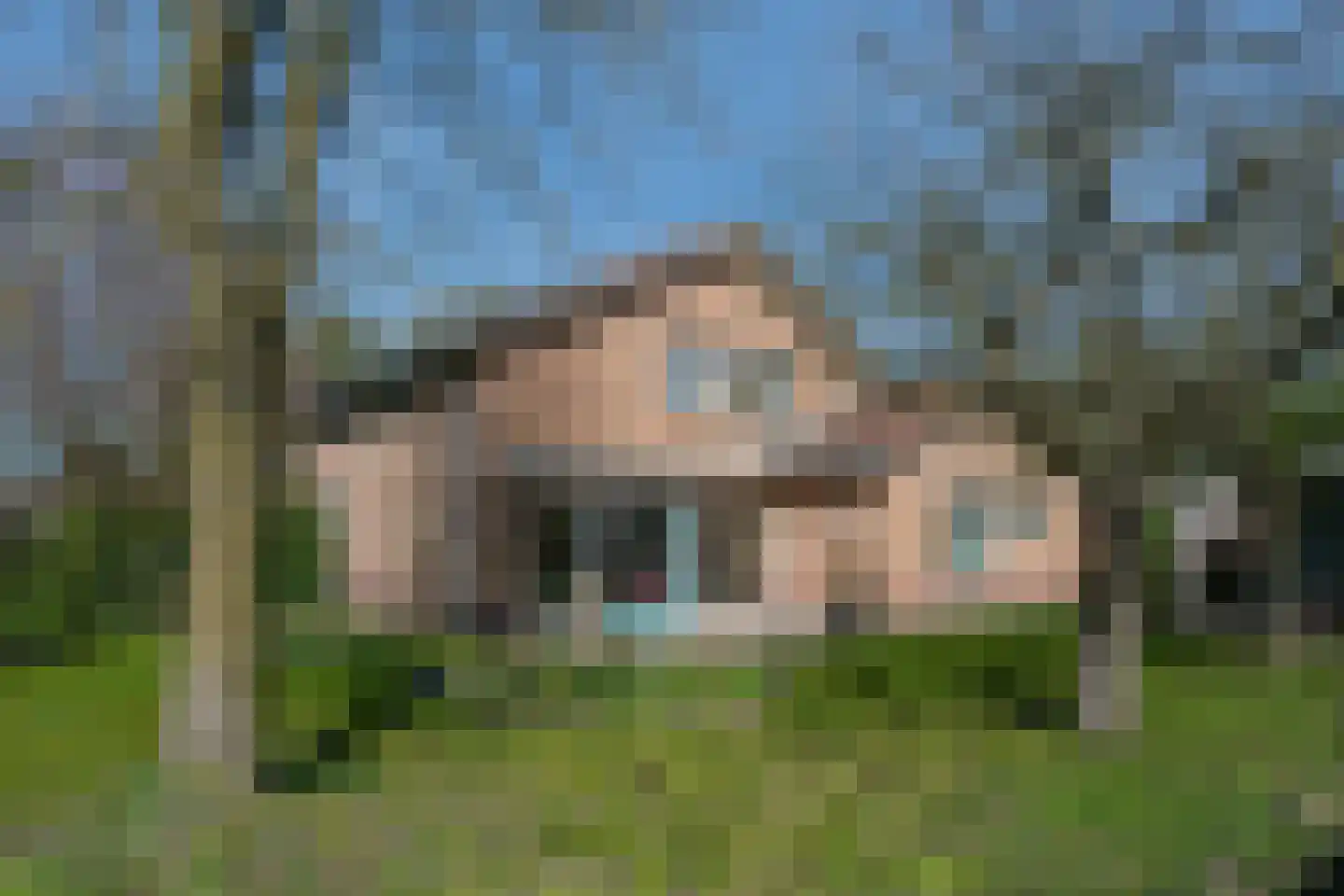 Gesincklaer 5 Den Ham thumbnail 4