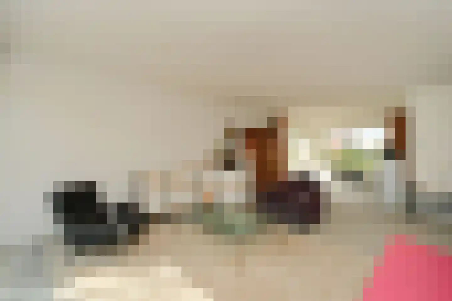 Gesincklaer 5 Den Ham thumbnail 8