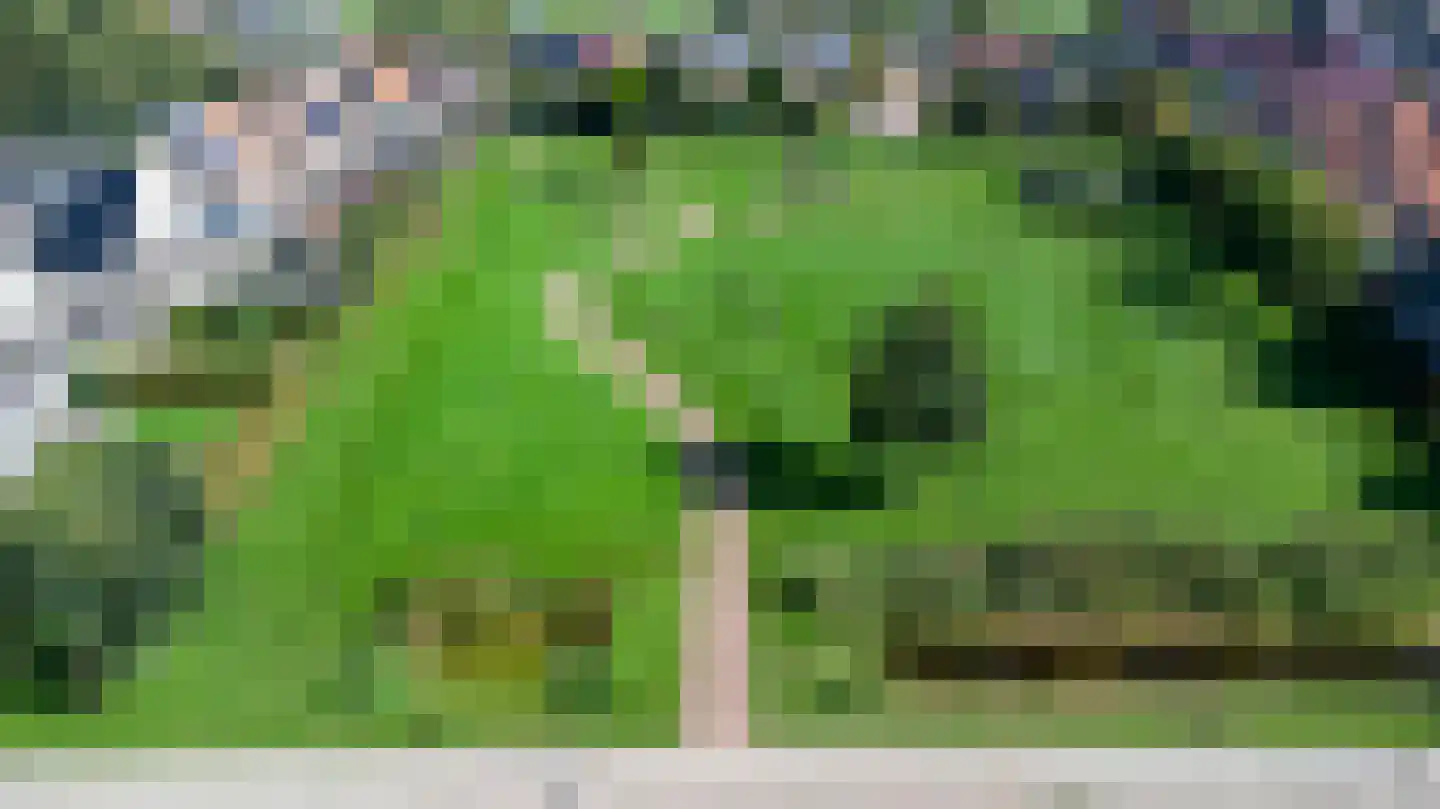 Gesine Britweg 3 Blokzijl thumbnail 11