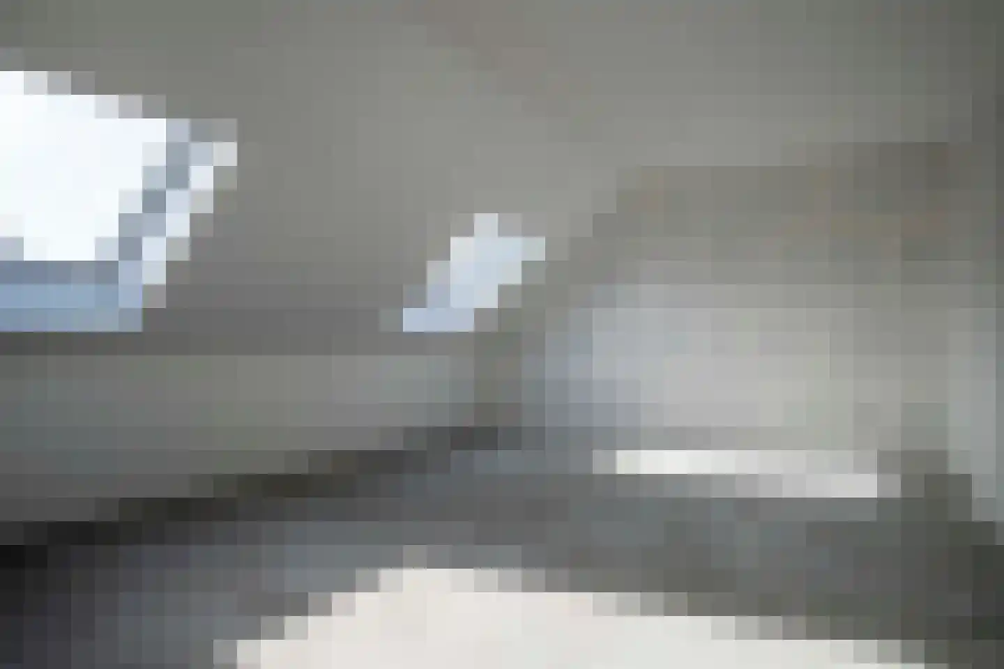 Gesine Britweg 3 Blokzijl thumbnail 30