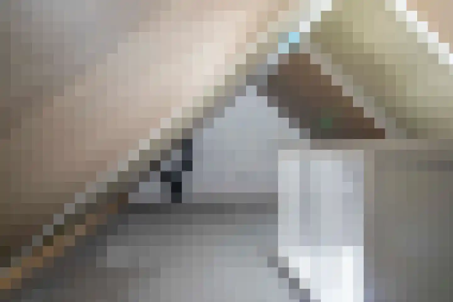 Gesine Britweg 3 Blokzijl thumbnail 37