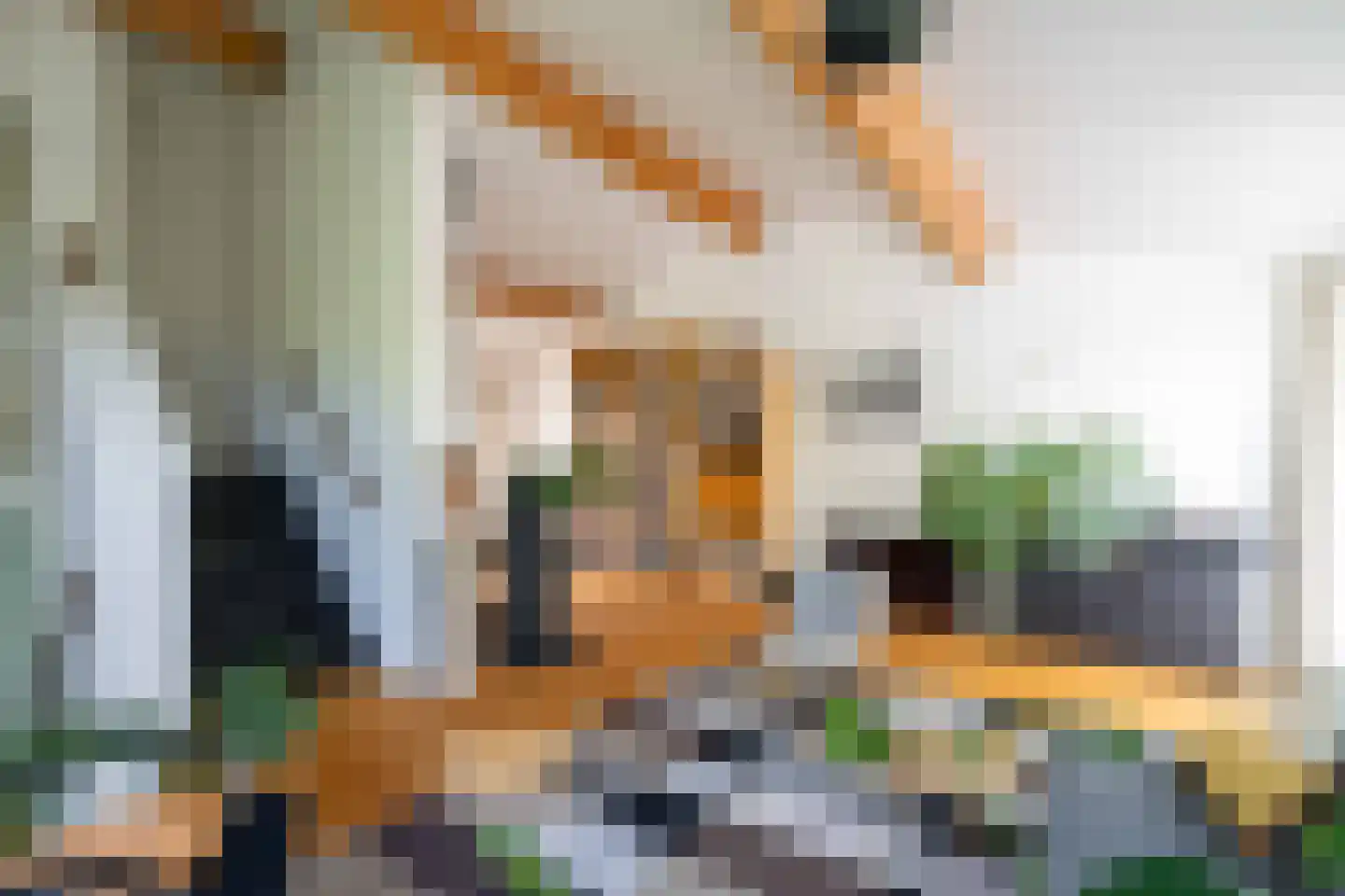 Gesloten Stad 33 Amersfoort thumbnail 19