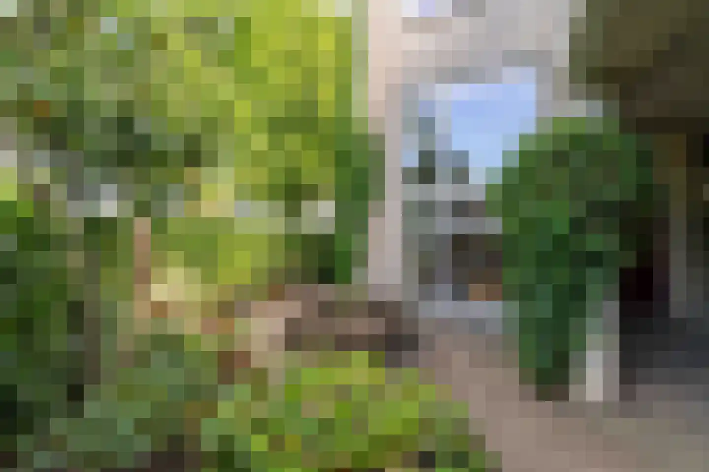 Gesloten Stad 33 Amersfoort thumbnail 4