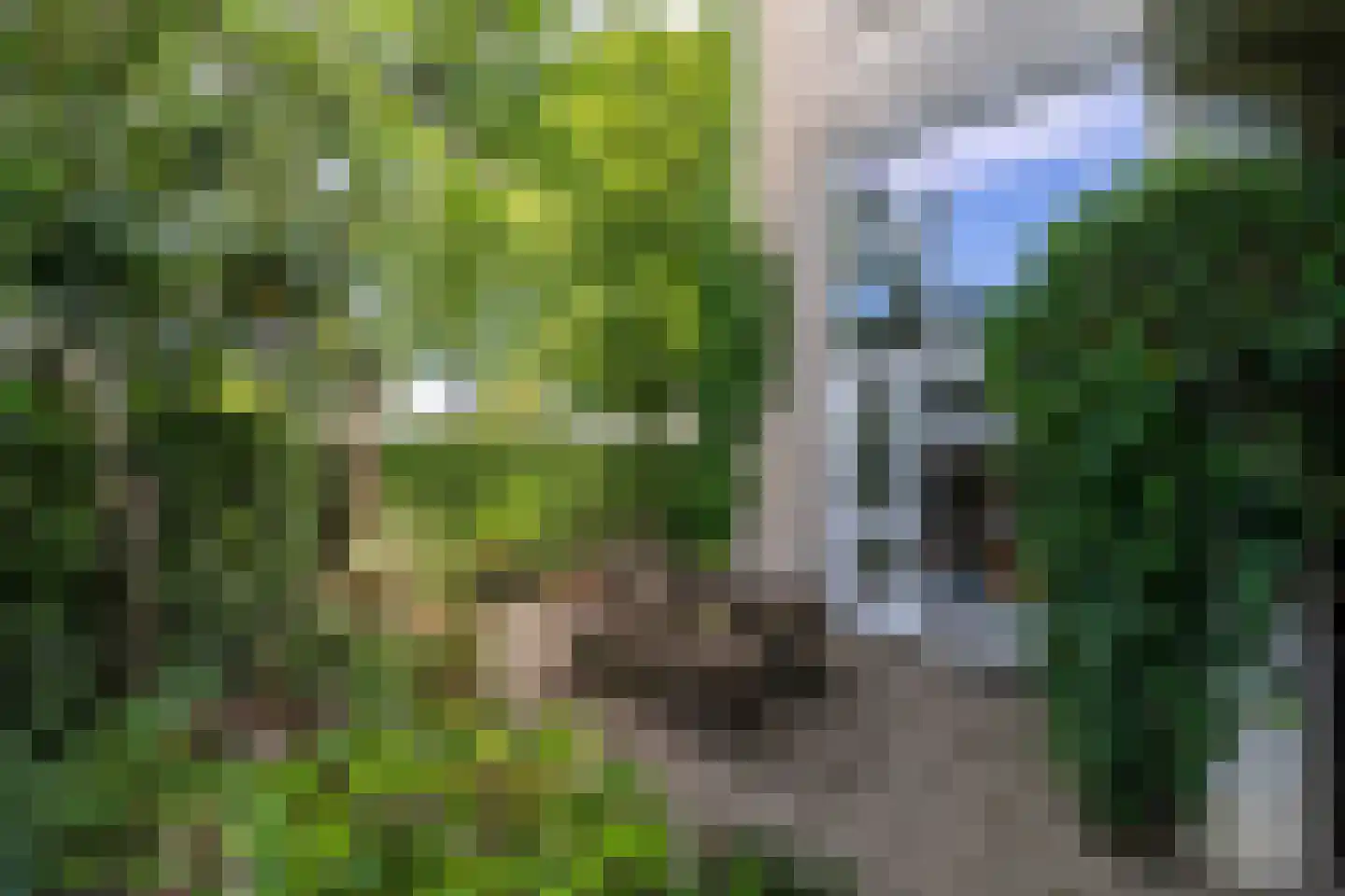 Gesloten Stad 33 Amersfoort thumbnail 62