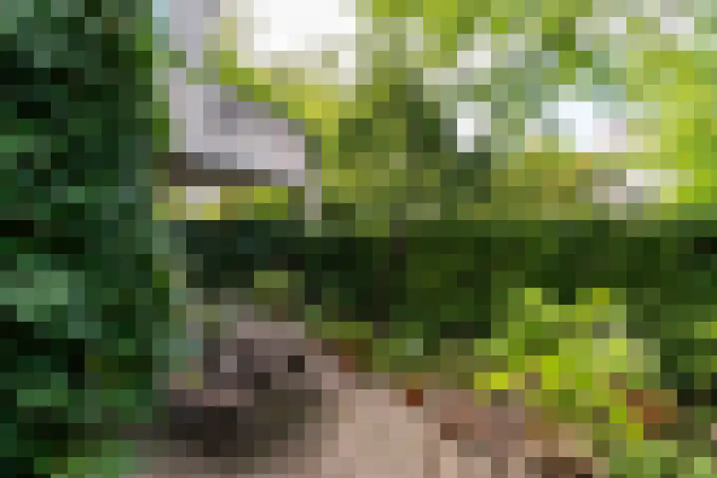 Gesloten Stad 33 Amersfoort thumbnail 64