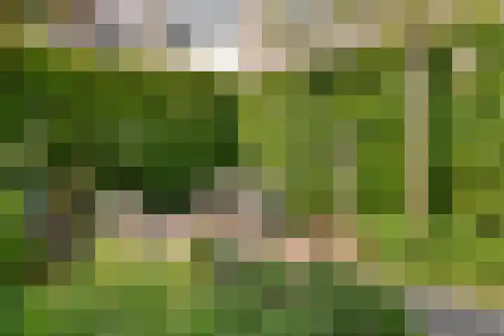 Gesloten Stad 8 Amersfoort thumbnail 36