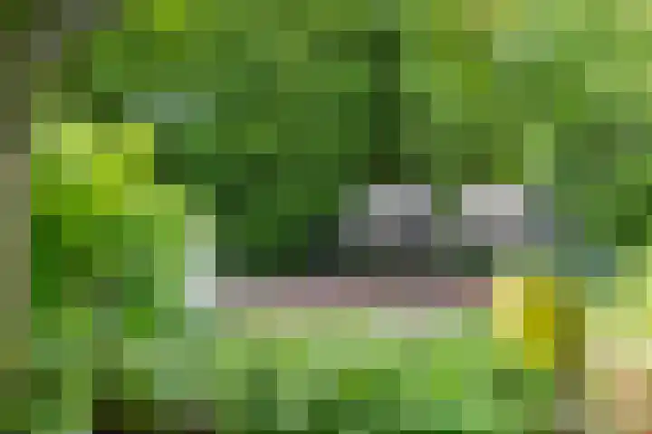 Gesloten Stad 8 Amersfoort thumbnail 37