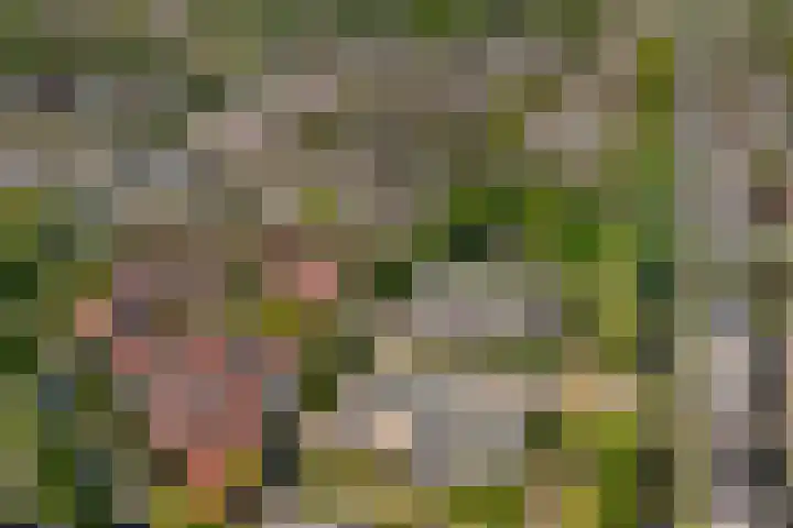 Gesloten Stad 8 Amersfoort thumbnail 42