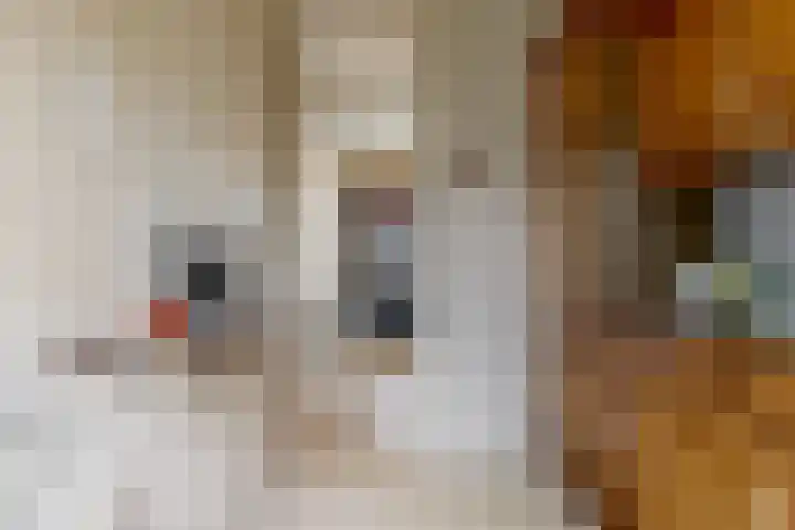 Gestellaan 14 Nieuwegein thumbnail 10