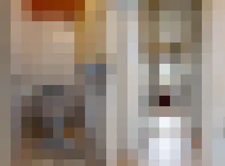 Gestellaan 14 Nieuwegein thumbnail 12