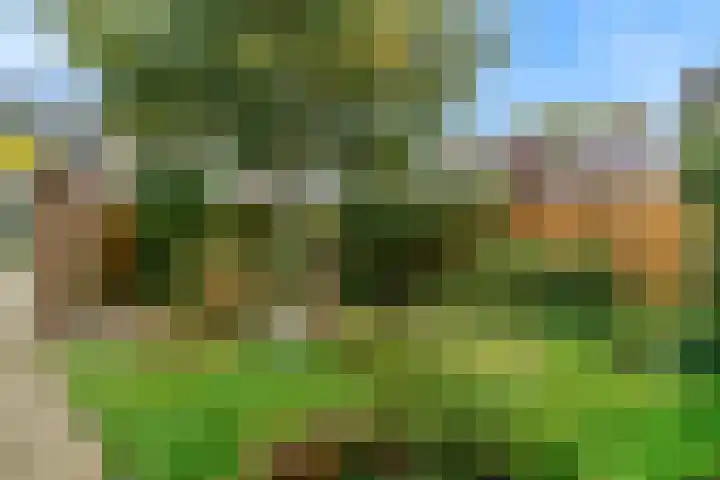 Gestellaan 14 Nieuwegein thumbnail 13