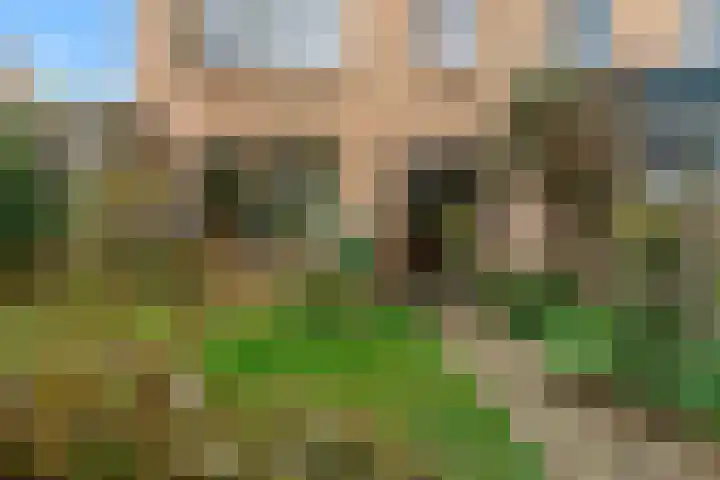 Gestellaan 14 Nieuwegein thumbnail 16