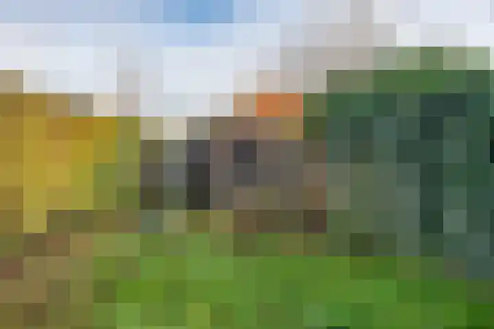 Gestellaan 30 Nieuwegein thumbnail 10