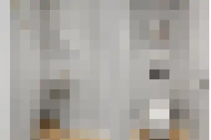 Gestellaan 31 Nieuwegein thumbnail 13