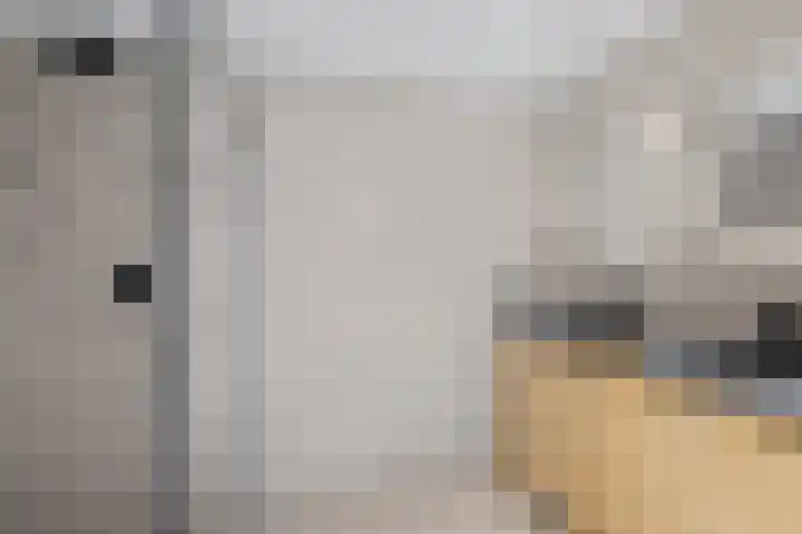 Gestellaan 31 Nieuwegein thumbnail 20
