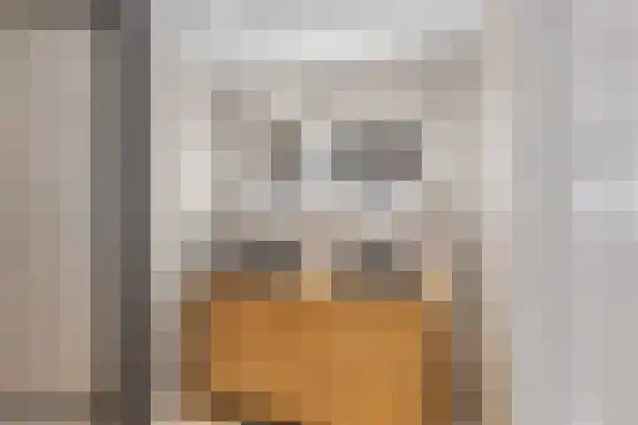 Gestellaan 31 Nieuwegein thumbnail 21