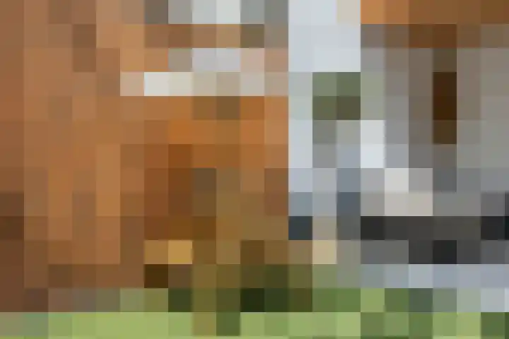 Gestellaan 31 Nieuwegein thumbnail 37