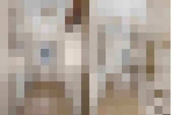 Gestellaan 31 Nieuwegein thumbnail 39