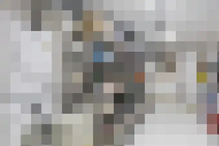 Gestellaan 31 Nieuwegein thumbnail 40