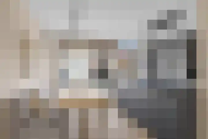 Gestellaan 31 Nieuwegein thumbnail 7