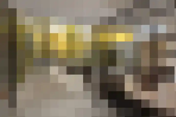 Gestellaan 44 Nieuwegein thumbnail 15