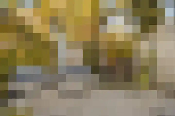 Gestellaan 44 Nieuwegein thumbnail 16