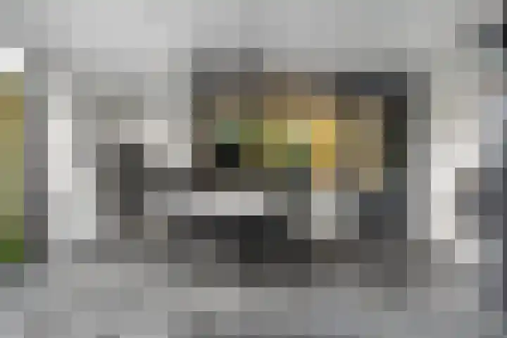 Gestellaan 44 Nieuwegein thumbnail 17