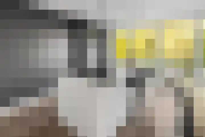 Gestellaan 44 Nieuwegein thumbnail 22