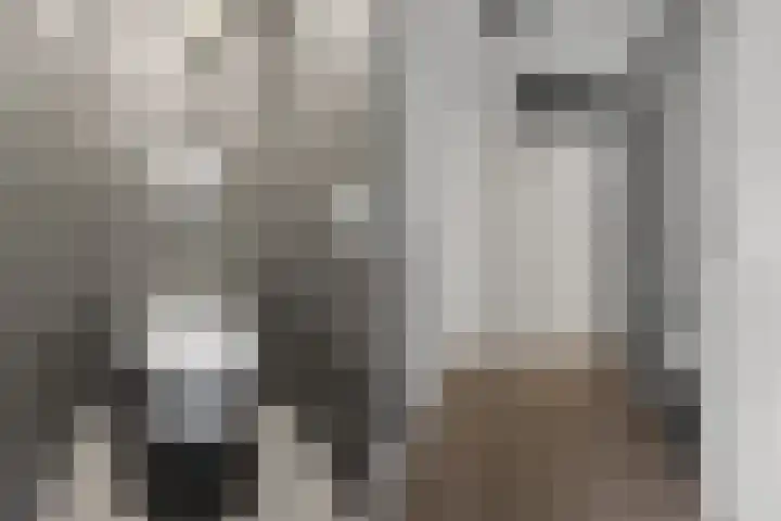 Gestellaan 44 Nieuwegein thumbnail 28