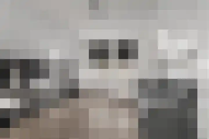 Gestellaan 44 Nieuwegein thumbnail 30