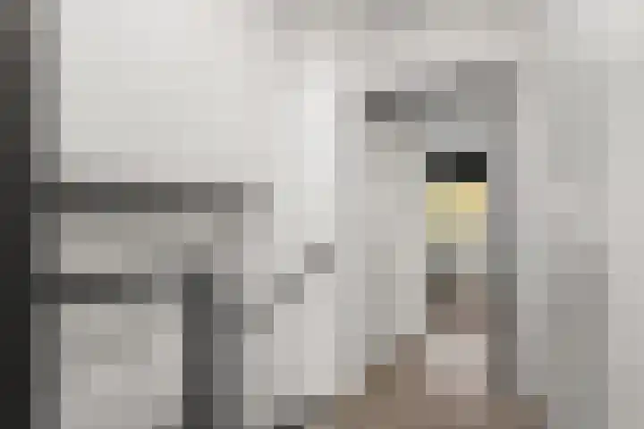Gestellaan 44 Nieuwegein thumbnail 31