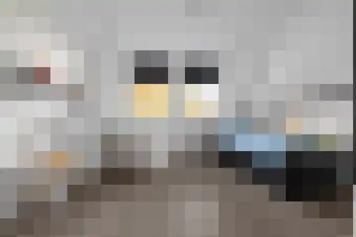 Gestellaan 44 Nieuwegein thumbnail 32