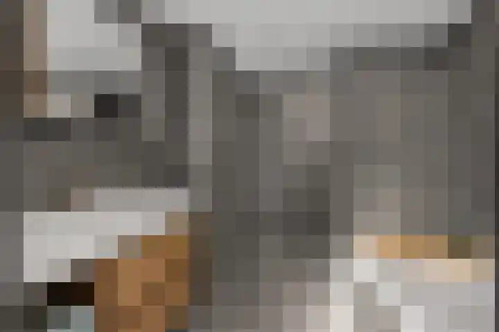 Gestellaan 44 Nieuwegein thumbnail 4