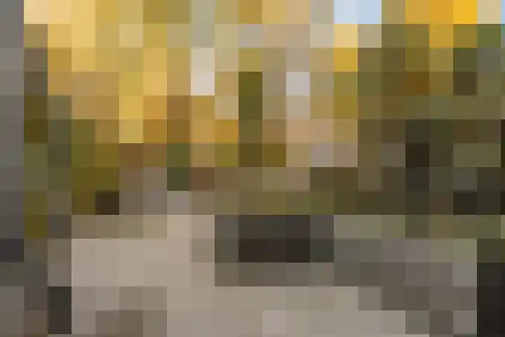 Gestellaan 44 Nieuwegein thumbnail 5