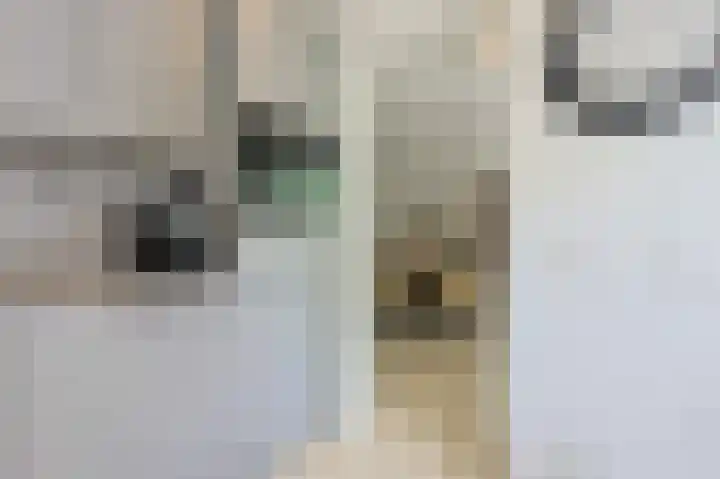 Gestelsestraat 10 Waalre thumbnail 17
