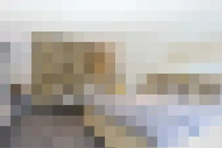 Gestelsestraat 10 Waalre thumbnail 25