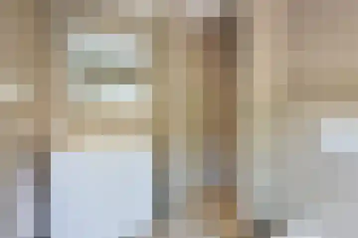 Gestelsestraat 10 Waalre thumbnail 33